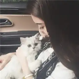 关于抱猫美女头像可爱清纯2018美女抱猫咪的头像图片