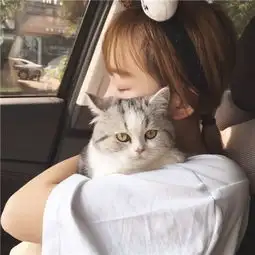 关于抱猫美女头像可爱清纯2018美女抱猫咪的头像图片