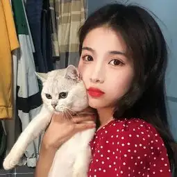 少女和喵,美得让人沦陷啊