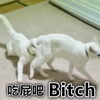 吃屁吧(bitch)_bitch_吃屁表情