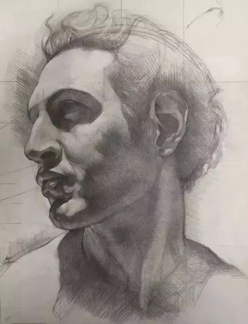 如何把素描画得像要狠抓结构造型透视,那你就是高手了