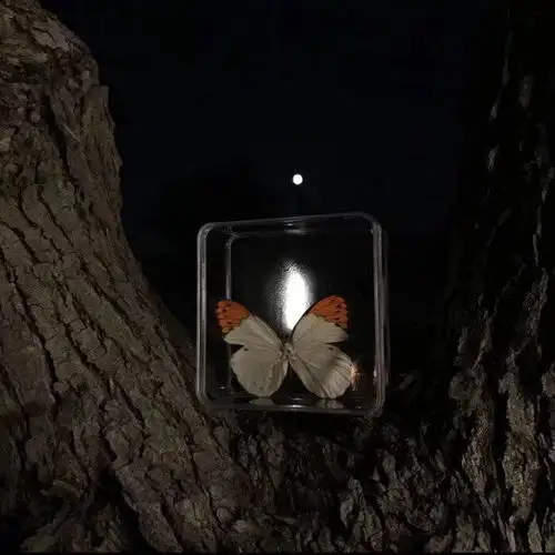 朋友圈背景图生活就像是心电图想要一帆风顺没有起伏除非你死了