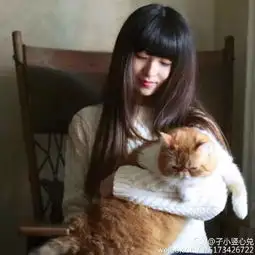 日系少女写真猫的咖啡店