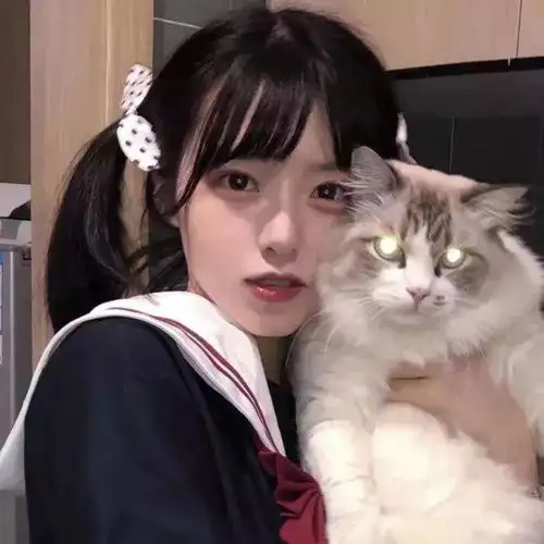 两只公猫传出绯闻,因为一条深夜朋友圈...