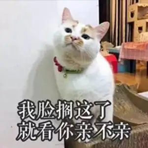 墨魂评测诗魂一瞥惊艳,一部不甚完美又令人不舍放下的作品