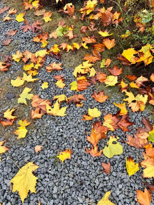 蓝天白云秋风落叶之韵