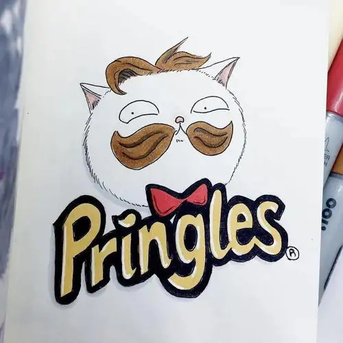 快跑插画师带着猫,又来喂猫粮了