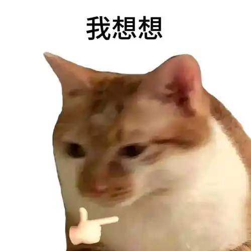 丨猫咪表情包