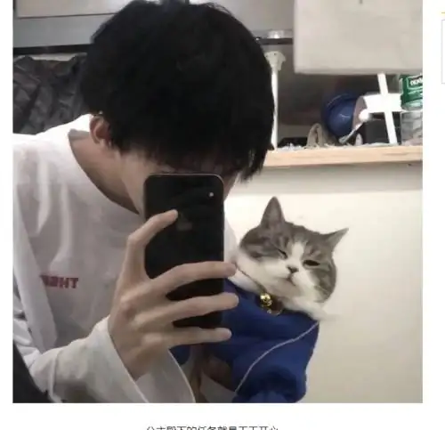 可以帮我找另一半情头吗