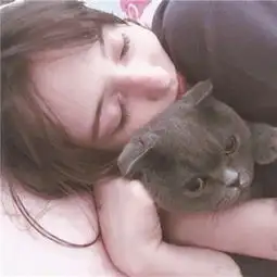 抱着猫咪的女生头像可爱清新大概想要的是喜欢被占有