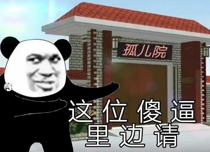 孤儿院,这位傻逼里边请(熊猫头表情包)