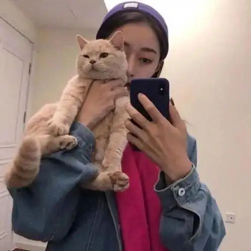 头像图片丨女生头像丨可爱的猫系女头1214