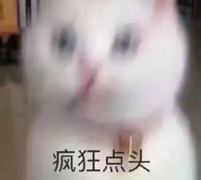 猫疯狂点头