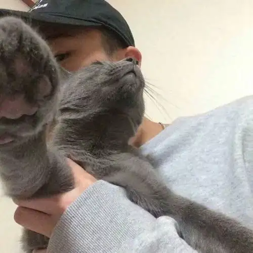 男头帽子控