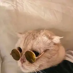 剑舞琴音的微博微博