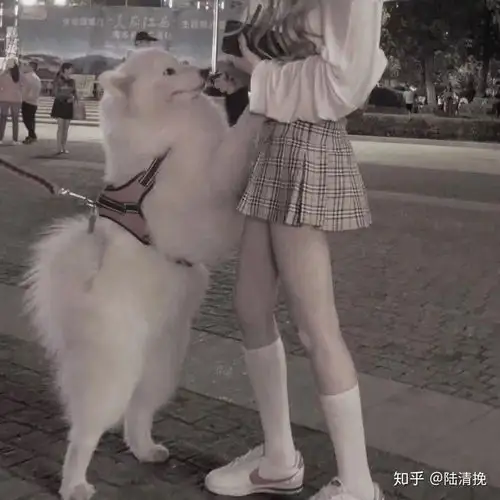 有哪些好看的女头像