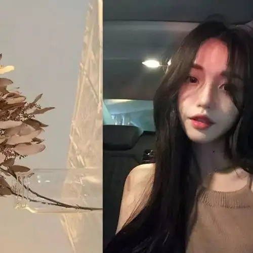 教你的高格调拍照技巧