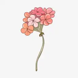 手绘卡通粉色紫色水彩插画花卉图片素材其他格式下载动漫人物大全