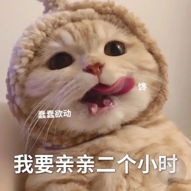 艾特列表第一位和ta亲亲二小时!#表情包#猫咪表情包-抖音