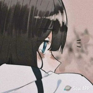 帮我找一下这个的另一半