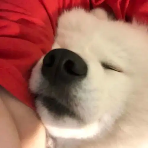 钟意高质量的ins头像