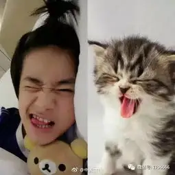 当男神千玺的表情遇上小奶猫神同步