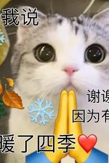 听我说谢谢你猫咪表情包