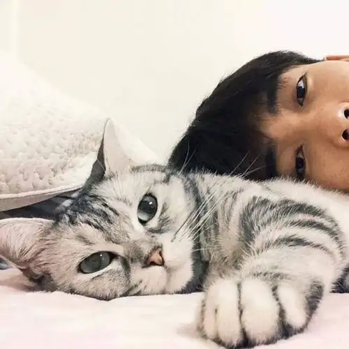 养个宠物就容易泡妞了有人做了个调查,结果....