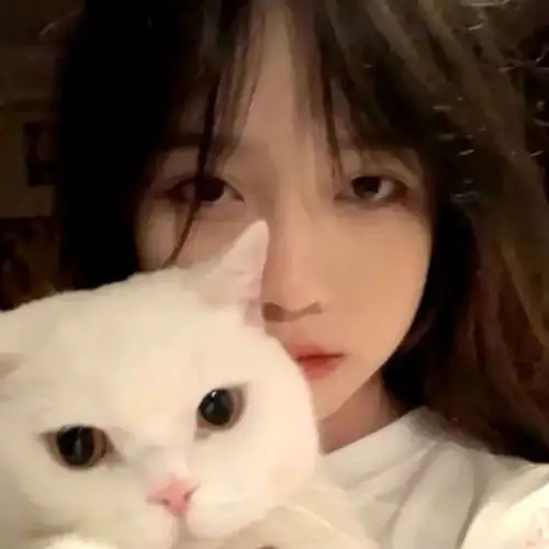 谁家的猫猫有对象,女生头像