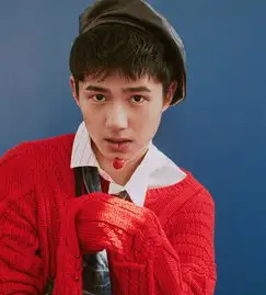 偶遇刘昊然网吧玩吃鸡,品学兼优的昊然迪迪开始不学无术了吗