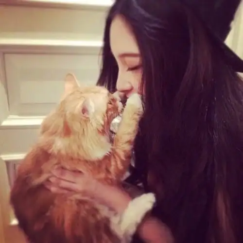 国庆假期把猫独自放家,回来后猫咪竟这样...