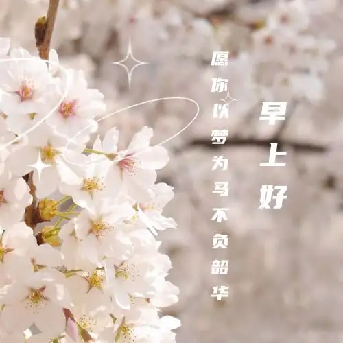 微信头像荷花并配字荷花头像带字佛系静心