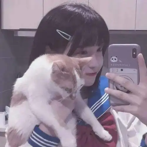 头像图片丨女生头像丨可爱的猫系女头1214