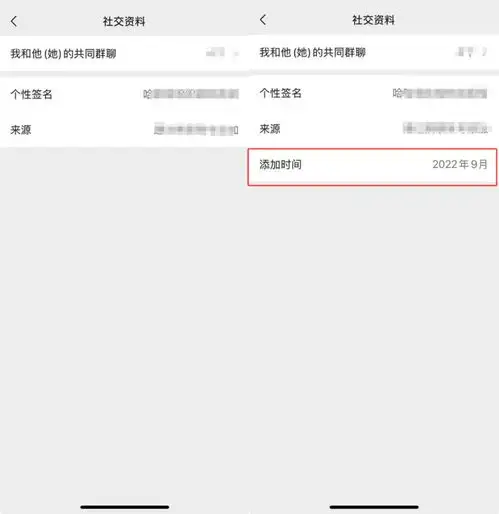 微信8.0.52正式版更新,全新功能降临