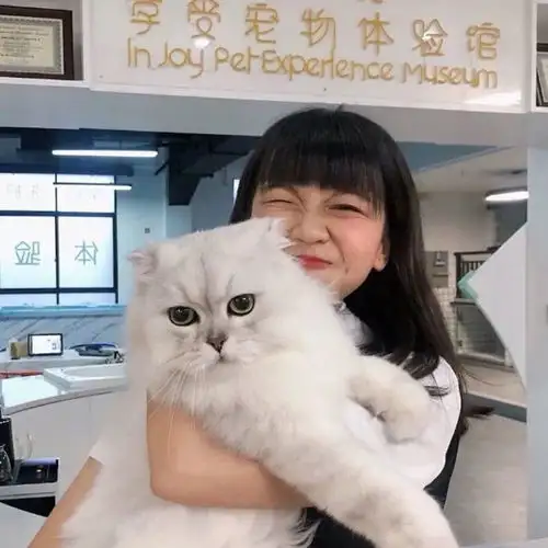 昆明隆鼻多少钱哪里好
