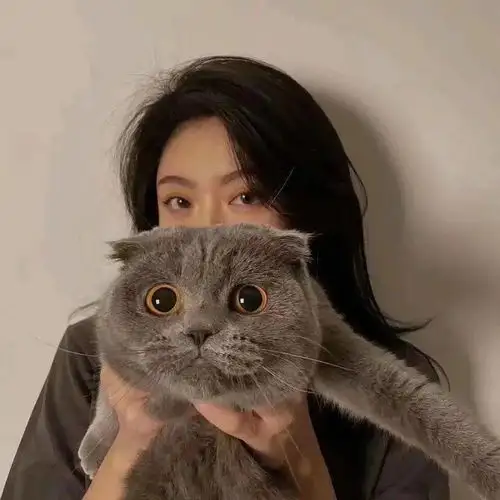 头像背景丨凡此过往皆为序章