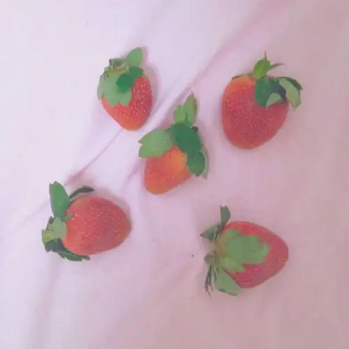 甜甜的英文情话外面风大,跟我回家