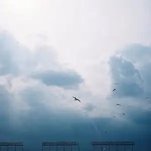 文艺佛系头像,高清清新静心修心的微信头像图片