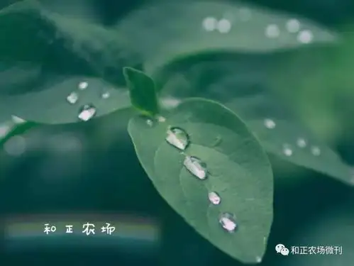 这一天,是你的一天