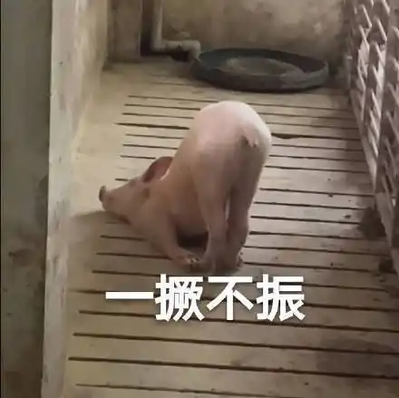 一撅不振(猪猪撅起屁屁表情包)_屁屁_猪猪_不振表情