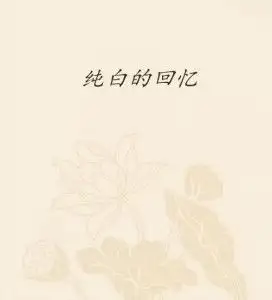 纯白的回忆
