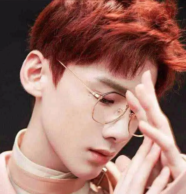 哪些男星适合演斯文败类白敬亭刘昊然,谁是你的腹黑王子