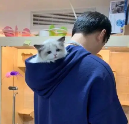 王思聪的猫贵,秦奋的狗更贵,却都比不过赵忠祥家的鱼