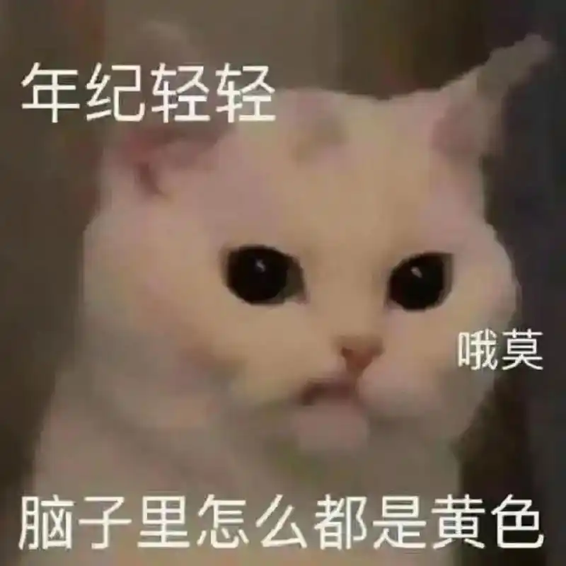 你年纪轻轻怎么脑子里想的都是yellow#表情包#猫咪表情-抖音