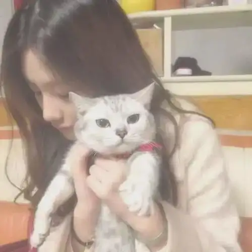 女人最爱听的暖心肉麻情话,能够瞬间打动她的心