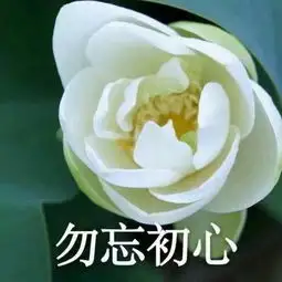 妈妈粉都在用的佛系养老头像了解一下