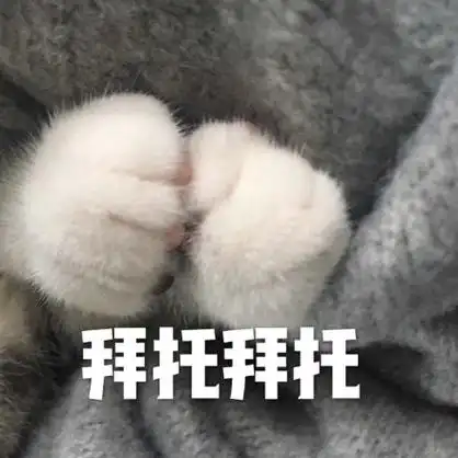 拜托拜托(猫爪)_拜托_猫爪表情