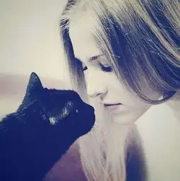 请帮我找几张猫和女人的图片头像