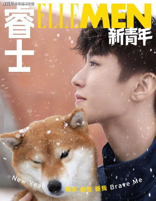 王俊凯再登杂志,怀抱柴犬展露治愈系笑容,休闲风穿搭少年感十足