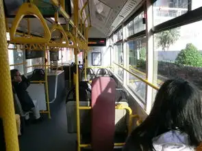 在圣诞来临时带着闺蜜一起去澳门感受圣诞的气氛,感受港珠澳大桥的雄伟,不虚此行